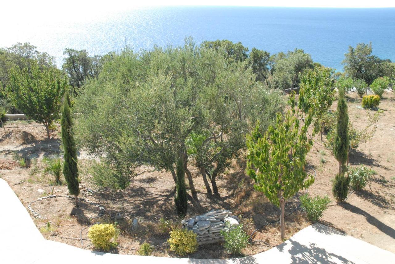 Santa-Maria-di-Lota Appartement Vue Sur Mer מראה חיצוני תמונה