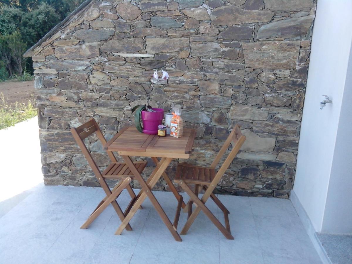 Santa-Maria-di-Lota Appartement Vue Sur Mer מראה חיצוני תמונה