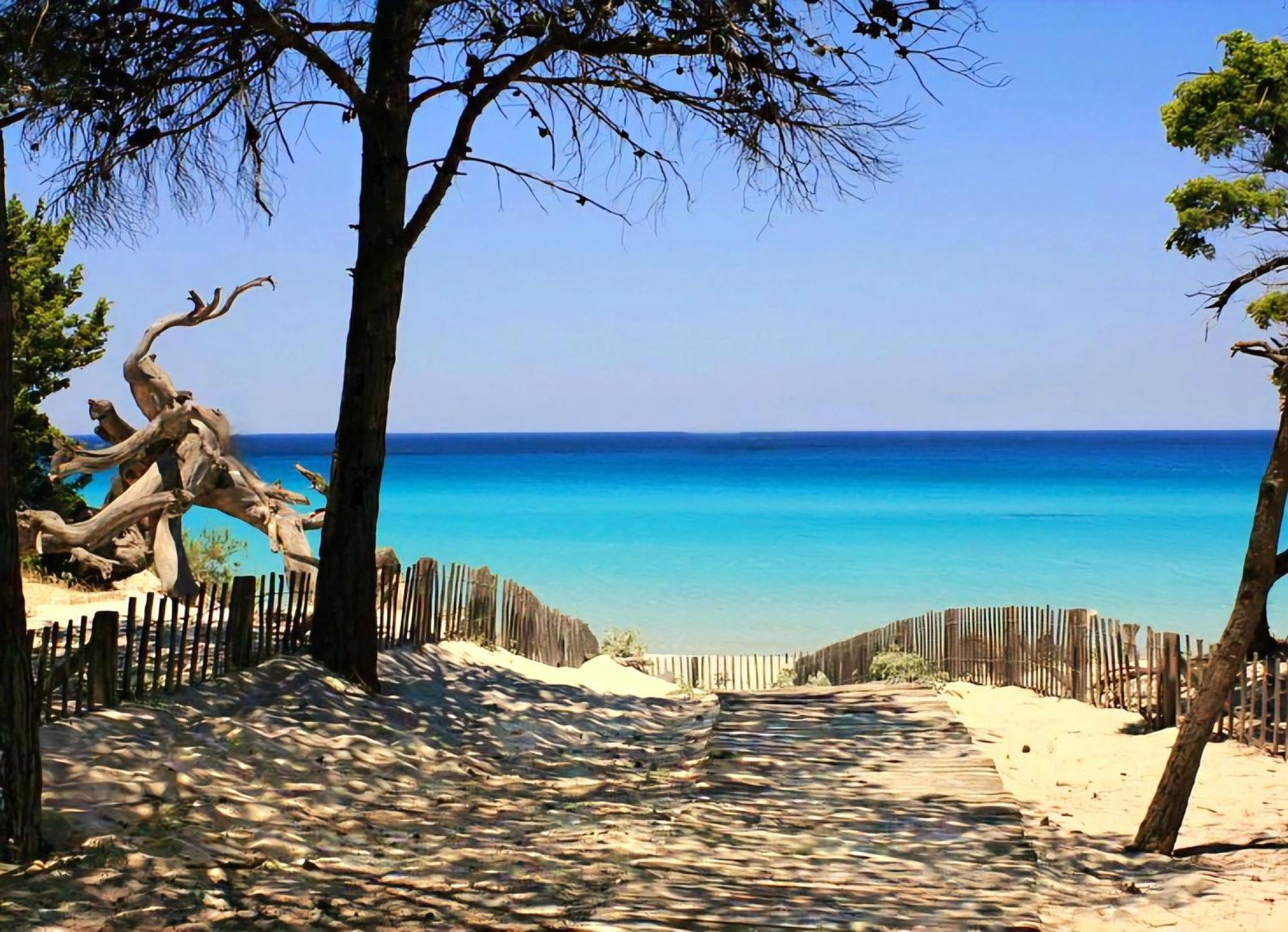Santa-Maria-di-Lota Appartement Vue Sur Mer מראה חיצוני תמונה